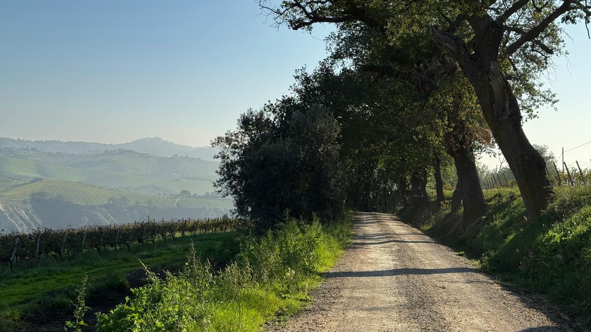 Le top 5 des marchés les plus porteurs