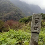 Bornage d’un terrain : cadastre, géomètre et valeur juridique
